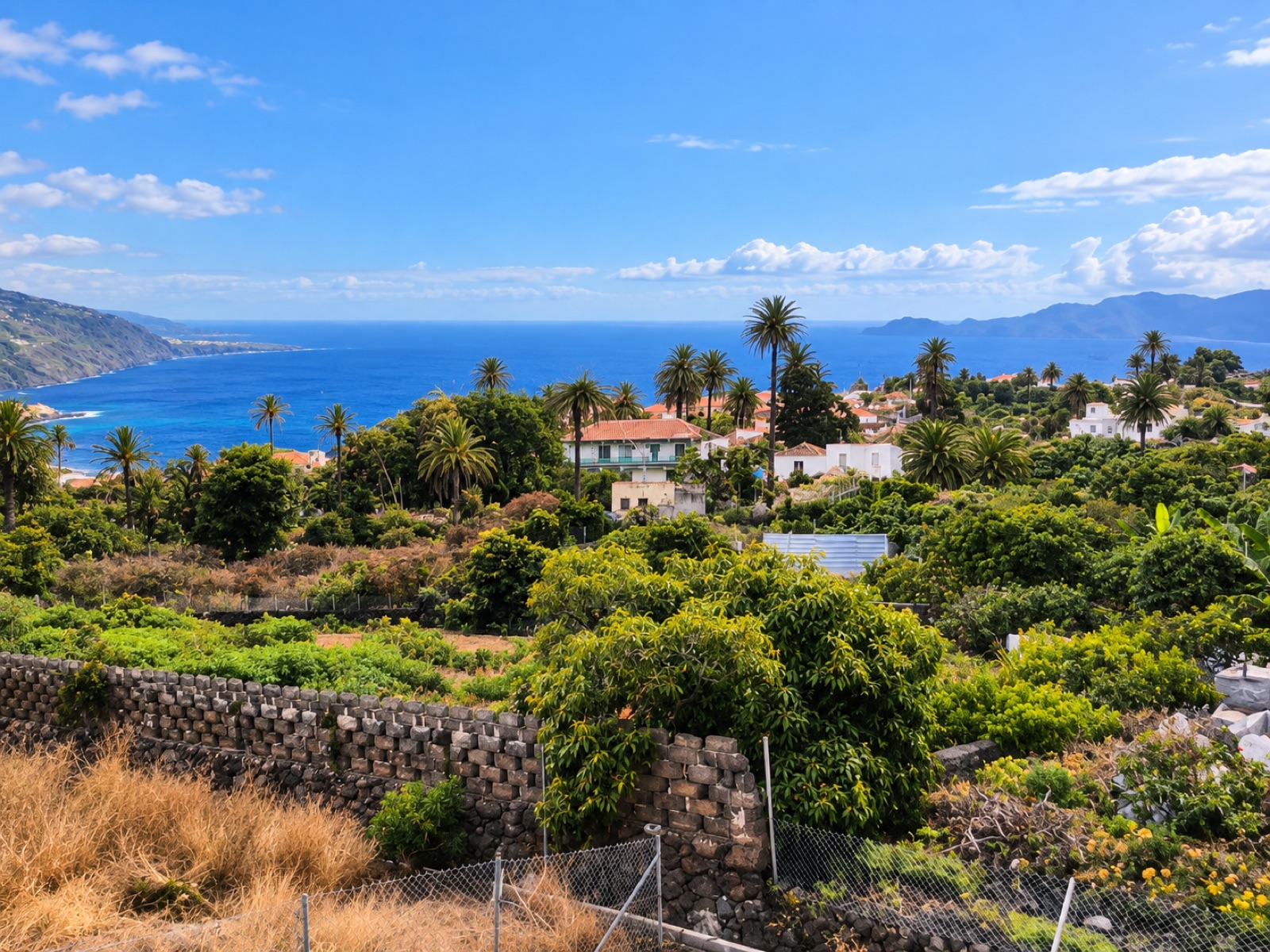 Viviendas y entorno de La Palma con vistas al mar, Canarias